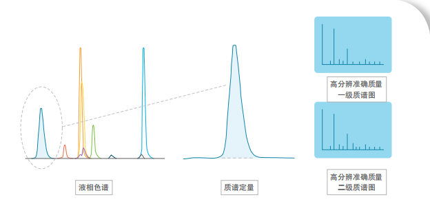 液相色譜 質譜定量 質譜圖