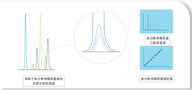 多離子高分辨******質量數的總離子流色譜圖